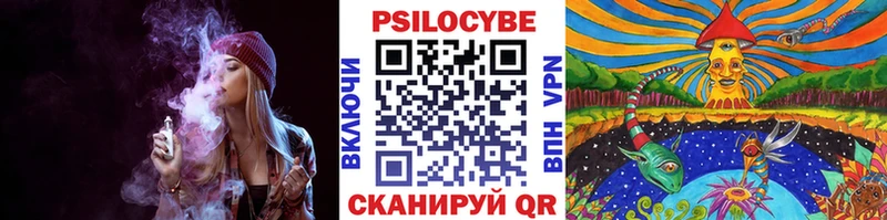 Купить закладки  Искитим  Псилоцибиновые грибы GOLDEN TEACHER 