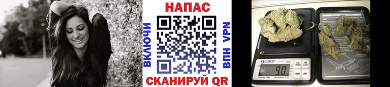 Купить закладки  Искитим  Бошки марихуана AK-47 